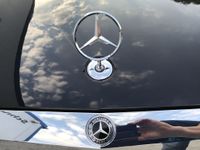 Mercedes (5)